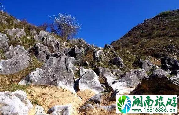 镇安北羊山在哪 一个徒步旅行圣地 镇安北羊山在哪 一个徒步旅行圣地