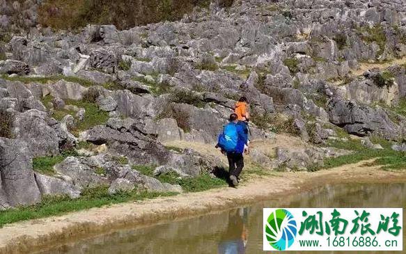 镇安北羊山在哪 一个徒步旅行圣地 镇安北羊山在哪 一个徒步旅行圣地