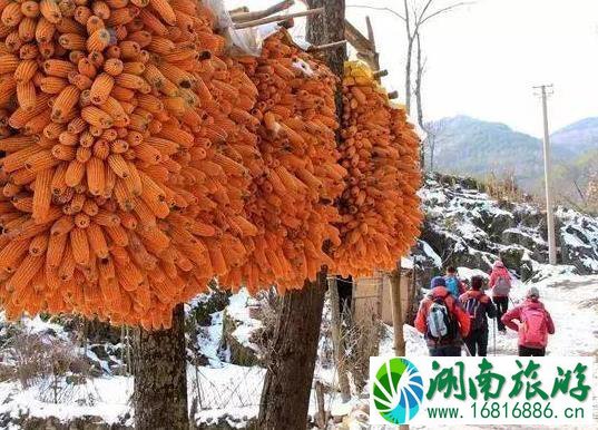 镇安北羊山在哪 一个徒步旅行圣地 镇安北羊山在哪 一个徒步旅行圣地