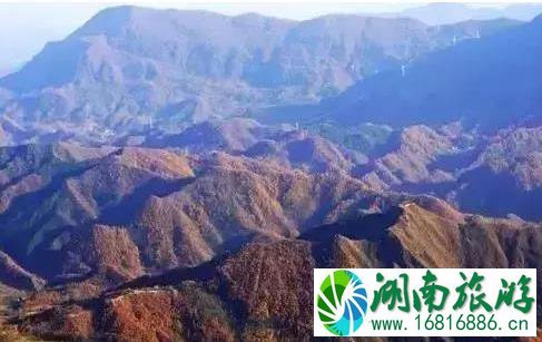 镇安北羊山在哪 一个徒步旅行圣地 镇安北羊山在哪 一个徒步旅行圣地