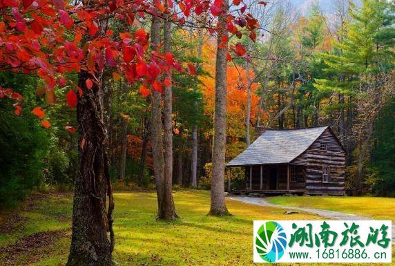 秋天适合去哪里旅游 现在去哪旅游最合适 秋天适合去哪里旅游 现在去哪旅游最合适