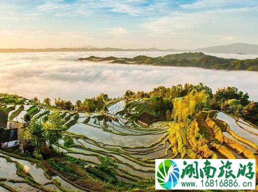 新化紫鹊界梯田门票多少钱 新化紫鹊界梯田门票多少钱