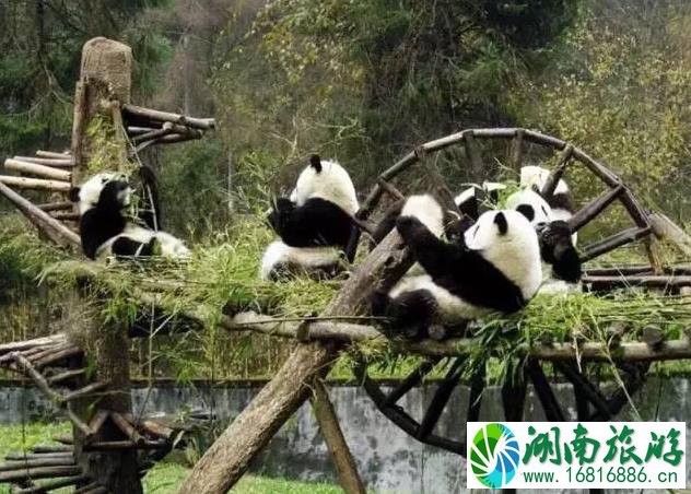 中国世界遗产名录有哪些 中国世界遗产名录有哪些