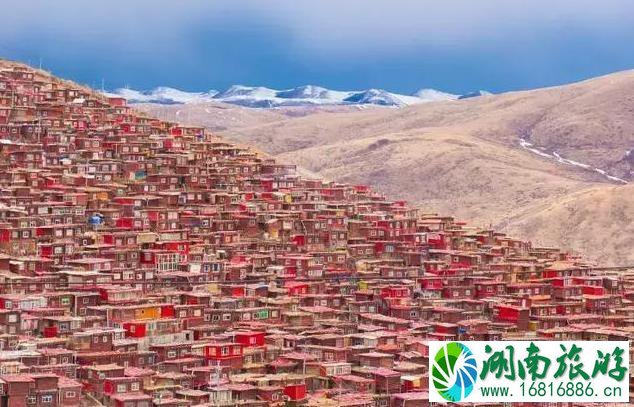 秋季最适合自驾游的地方推荐 秋季最适合自驾游的地方推荐