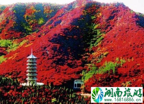 2022中秋国庆游玩地点推荐 2022中秋国庆游玩地点推荐