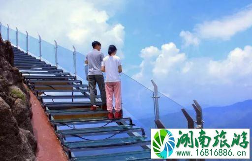 2022年9月金子山玻璃天梯开放了吗 2022年9月金子山玻璃天梯开放了吗