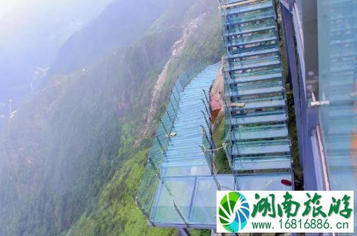 2022年9月金子山玻璃天梯开放了吗 2022年9月金子山玻璃天梯开放了吗