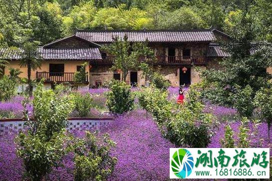 巴山大峡谷旅游攻略 门票+交通指南 巴山大峡谷旅游攻略 门票+交通指南