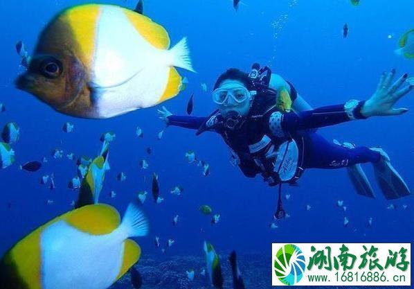 2022十一免签海岛旅游推荐 2022十一免签海岛旅游推荐