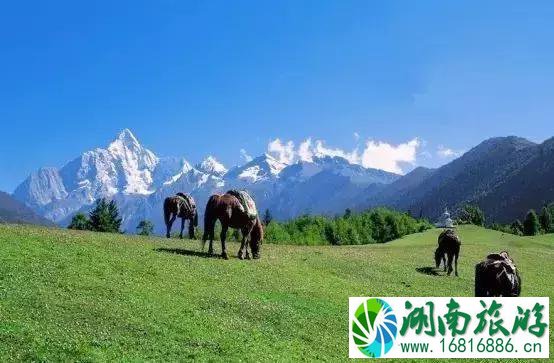 2022教师节门票打折的景区都有哪些