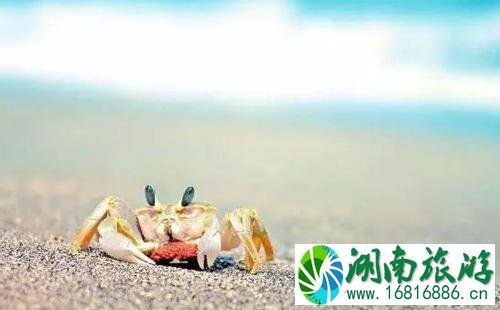河北螃蟹哪里最好