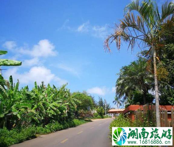 2022涠洲岛旅游最新最全大攻略 2022涠洲岛旅游最新最全大攻略