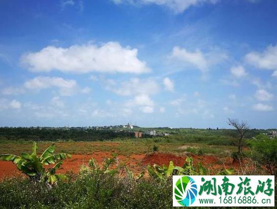 2022涠洲岛旅游最新最全大攻略 2022涠洲岛旅游最新最全大攻略