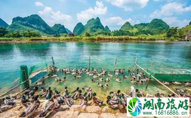 靖西旅游攻略 靖西旅游攻略