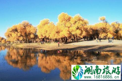 2022国庆额济纳胡杨林观赏线路 2022国庆额济纳胡杨林观赏线路
