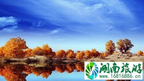 2022国庆额济纳胡杨林观赏线路 2022国庆额济纳胡杨林观赏线路
