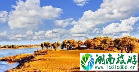 2022国庆额济纳胡杨林观赏线路 2022国庆额济纳胡杨林观赏线路