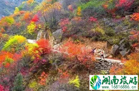 秦岭公路自驾游线路推荐 秦岭公路自驾游线路推荐
