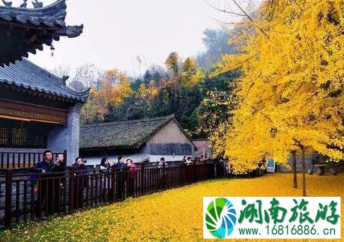 秦岭公路自驾游线路推荐 秦岭公路自驾游线路推荐
