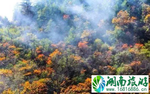 秦岭公路自驾游线路推荐 秦岭公路自驾游线路推荐