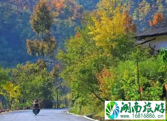 秦岭公路自驾游线路推荐 秦岭公路自驾游线路推荐