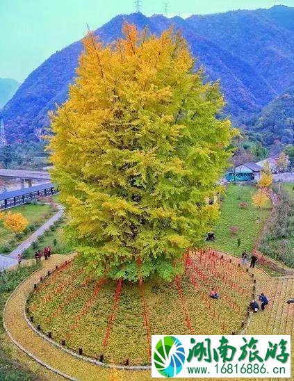 秦岭公路自驾游线路推荐 秦岭公路自驾游线路推荐