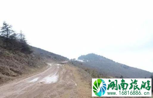 2022牛背山最新规划图是怎样的 最新的牛背山出炉 2022牛背山最新规划图是怎样的 最新的牛背山出炉