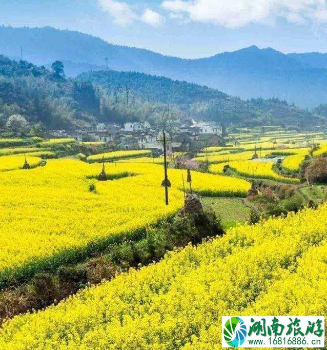 最适合老夫老妻旅游的地方 最适合老夫老妻旅游的地方