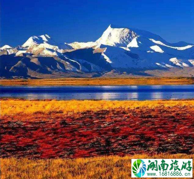 最适合老夫老妻旅游的地方 最适合老夫老妻旅游的地方