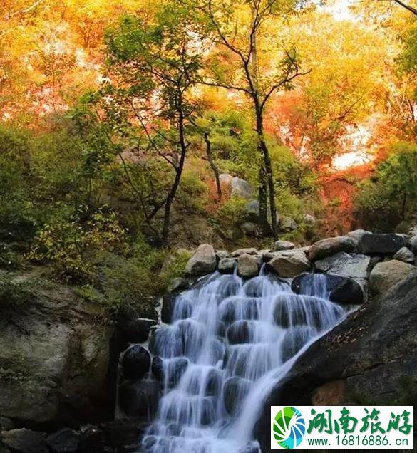 秋天去哪里玩最好 秋天旅游景点推荐 秋天去哪里玩最好 秋天旅游景点推荐