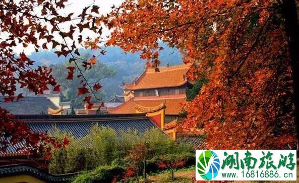 秋天去哪里玩最好 秋天旅游景点推荐 秋天去哪里玩最好 秋天旅游景点推荐