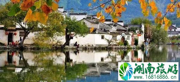 秋天去哪里玩最好 秋天旅游景点推荐 秋天去哪里玩最好 秋天旅游景点推荐