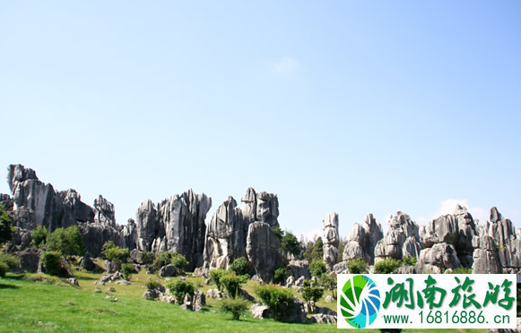 秋天适合去哪旅游 2022九月去哪里旅游最好 国庆旅游推荐 秋天适合去哪旅游 2022九月去哪里旅游最好 国庆旅游推荐