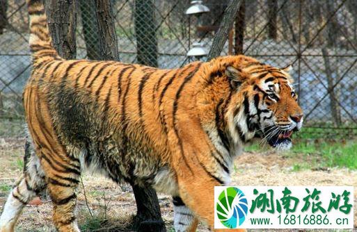 2022秦皇岛十大旅游景点推荐 秦皇岛必去的景点有哪些 2022秦皇岛十大旅游景点推荐 秦皇岛必去的景点有哪些