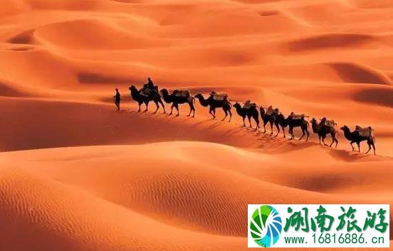 2022大西北旅游专列最新情况 2022大西北旅游专列最新情况