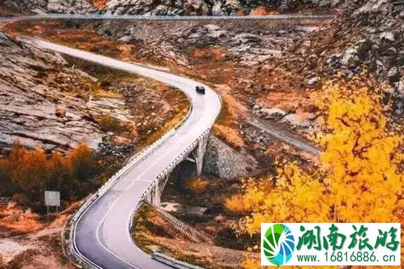 2022大西北旅游专列最新情况 2022大西北旅游专列最新情况