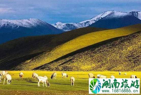 2022大西北旅游专列最新情况 2022大西北旅游专列最新情况