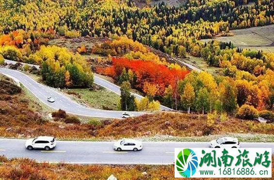 2022大西北旅游专列最新情况 2022大西北旅游专列最新情况