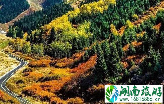 2022大西北旅游专列最新情况 2022大西北旅游专列最新情况