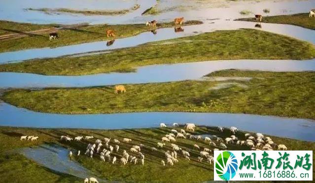 张家口有哪些好玩的地方 张家口有哪些好玩的地方