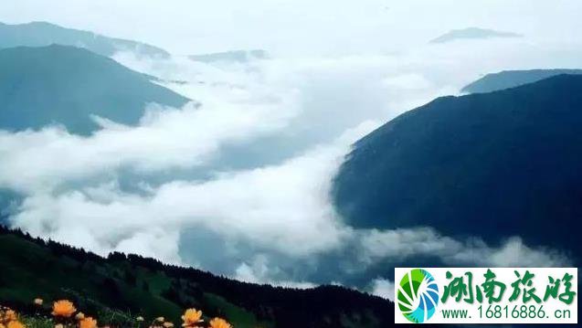 张家口有哪些好玩的地方 张家口有哪些好玩的地方