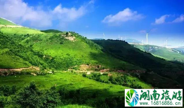 张家口有哪些好玩的地方 张家口有哪些好玩的地方