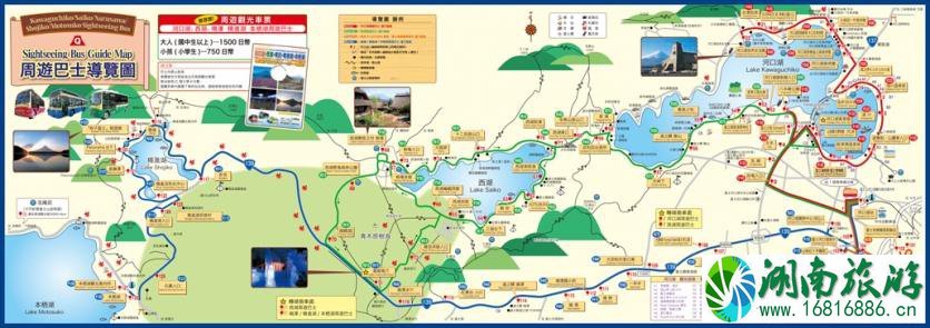 富士河口湖露营交通指南 富士河口湖有什么景点 富士河口湖露营交通指南 富士河口湖有什么景点