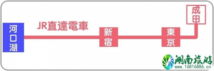 富士河口湖露营交通指南 富士河口湖有什么景点 富士河口湖露营交通指南 富士河口湖有什么景点