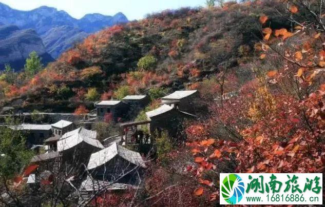 国内枫叶哪里最好看 国内枫叶哪里最好看