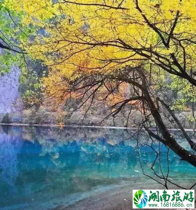 国内枫叶哪里最好看 国内枫叶哪里最好看