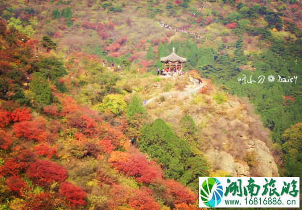 2022香山红叶节时间+最佳观赏地点+门票+交通 2022香山红叶节时间+最佳观赏地点+门票+交通