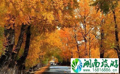 新都桥有哪些景点 新都桥好玩吗 新都桥有哪些景点 新都桥好玩吗
