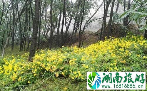 平凉虎山好玩吗 平凉虎山游玩攻略 平凉虎山好玩吗 平凉虎山游玩攻略