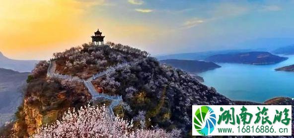 河洛文化节免门票景区有哪些